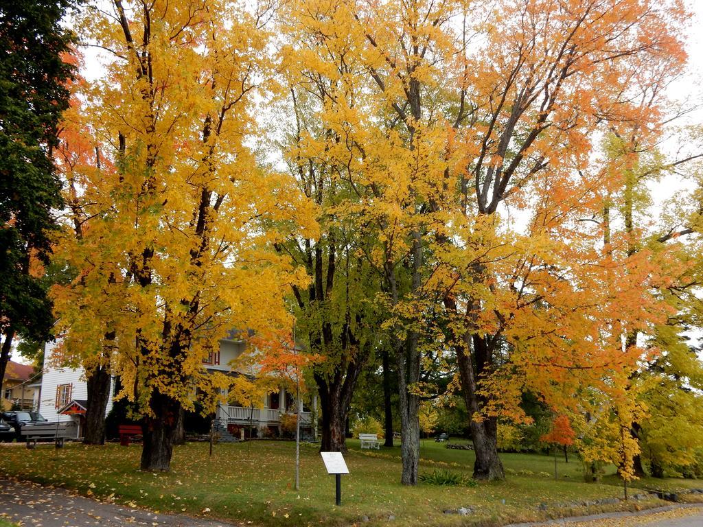 Almatoit Bed & Breakfast Exterior photo