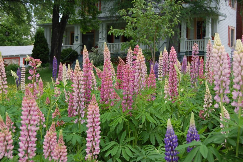 Almatoit Bed & Breakfast Exterior photo