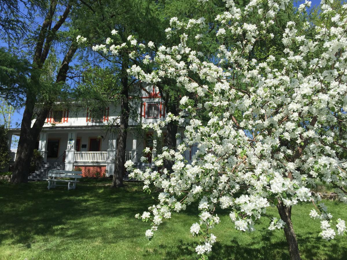 Almatoit Bed & Breakfast Exterior photo